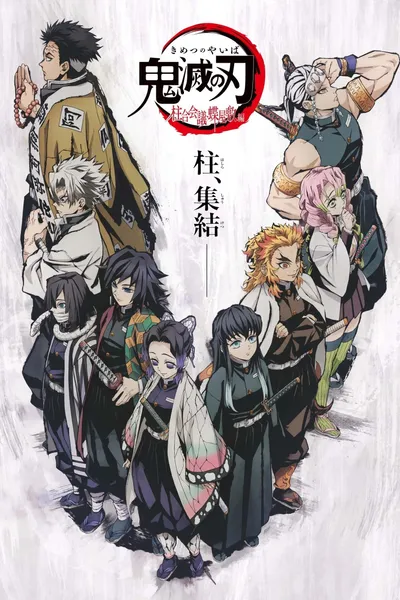Demon Slayer: Kimetsu no Yaiba: The Hashira Meeting Arc